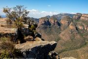 125IMG_9661