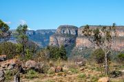 125IMG_9707