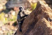 127IMG_6786
