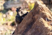 127IMG_6787