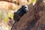127IMG_6792