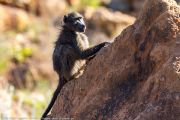 127IMG_6794