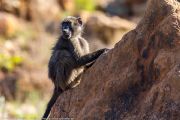 127IMG_6798