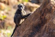 127IMG_6800