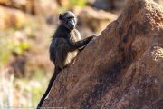 127IMG_6803