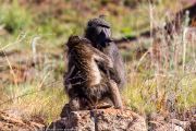 127IMG_6831