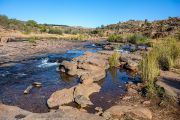 128IMG_9733