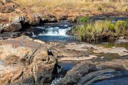 128IMG_9740