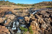 128IMG_9747