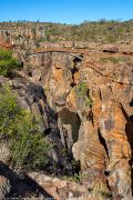 129IMG_9720