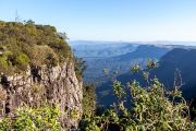 130IMG_9775