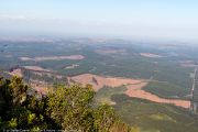 130IMG_9779