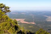 130IMG_9781