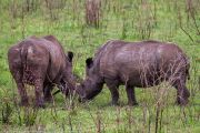 181IMG_7664