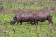 181IMG_7680