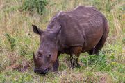 181IMG_7758