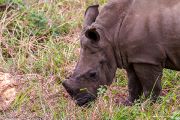 182IMG_7792