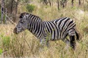 186IMG_0470