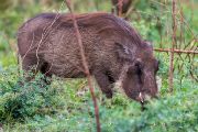 186IMG_7560