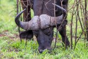 186IMG_7640