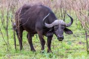186IMG_7644