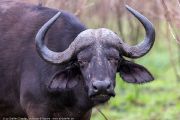 186IMG_7648