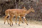 186IMG_7818