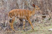 186IMG_7824