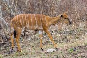 186IMG_7826