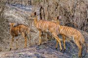 186IMG_7835
