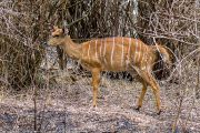 186IMG_7850
