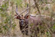 186IMG_7852