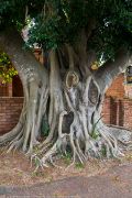 187IMG_0567