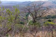 188IMG_0493