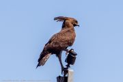 220IMG_0603