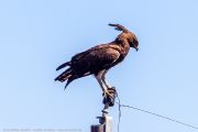 220IMG_0608