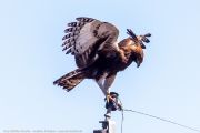 220IMG_0609