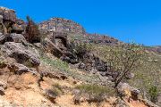 221IMG_0637