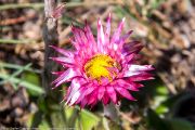 222IMG_0652