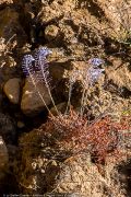 222IMG_0682