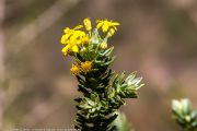 222IMG_0698