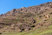 223IMG_0654