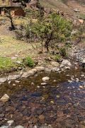 224IMG_0679