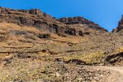 224IMG_0713