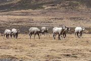 224IMG_0802