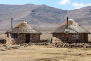 224IMG_0825