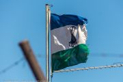 225IMG_0831