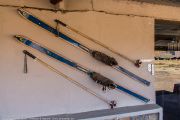 226IMG_0809