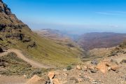 228IMG_0857
