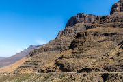 228IMG_0859